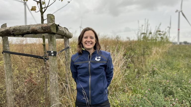 Plus de 18 km de haies plantées en champs. Plant C permet aux entreprises de financer ces plantations pour augmenter la biodiversité