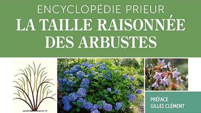 CONCOURS : remportez votre exemplaire de l'Encyclopédie Prieur de la taille raisonnée CONCOURS : remportez votre exemplaire de l'Encyclopédie Prieur de la taille raisonnée