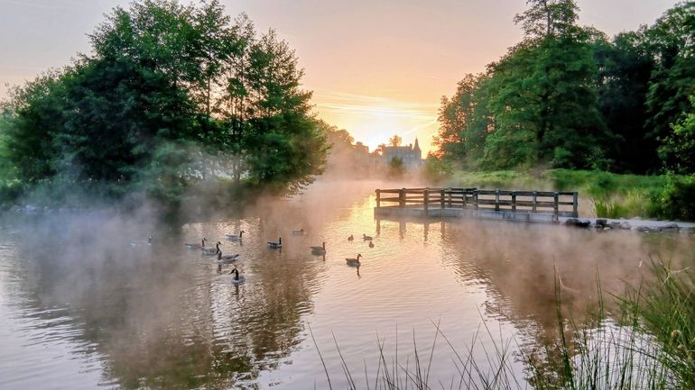 Météo en Belgique : Un lundi férié sous le soleil