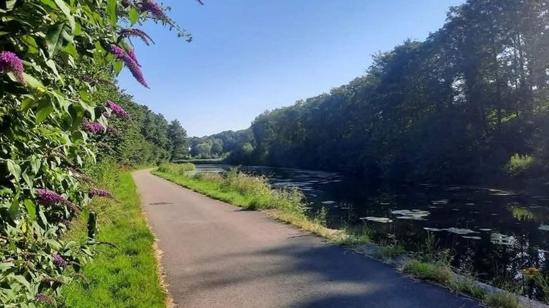 Les 16 marches Adeps du dimanche 28 juin en Wallonie (avec des horaires ou itinéraires adaptés à la chaleur)