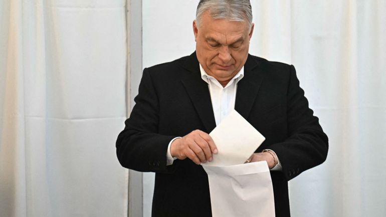 Élections législatives en Hongrie : Viktor Orban reconnaît sa défaite "douloureuse"