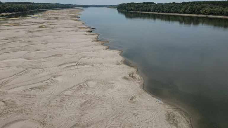Sécheresse en Serbie : le faible niveau des eaux du Danube met au jour des épaves nazies