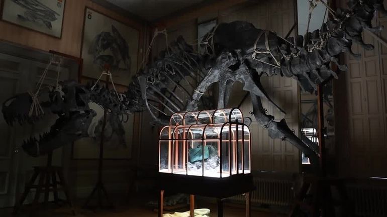 Aux Pays-Bas, le premier sac à main en "cuir de T-Rex" se dévoile et affole déjà les enchères