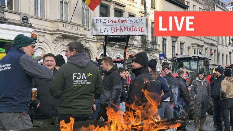 Direct – Grogne des agriculteurs : les tracteurs de retour à Bruxelles, le quartier européen transformé en parking géant Direct – Grogne des agriculteurs : les tracteurs de retour à Bruxelles, le quartier européen transformé en parking géant