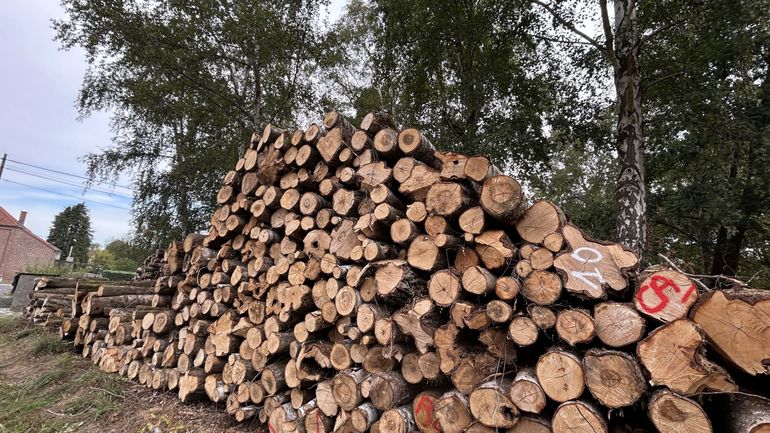 Bois et pellets : des hausses de prix à l'horizon