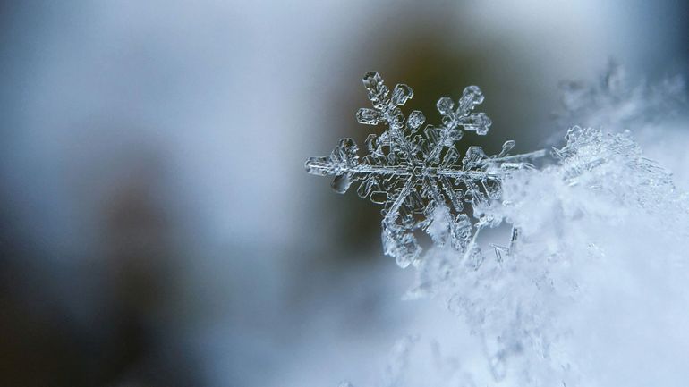 Le vrai du faux : les Esquimaux ont-ils réellement 40 mots pour désigner la neige ?