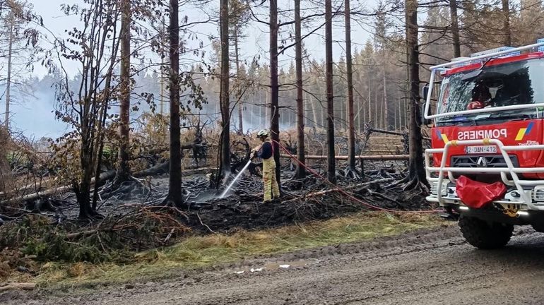 Quatre provinces wallonnes prennent des arrêtés "sécheresse" pour prévenir les risques d’incendie en milieu naturel