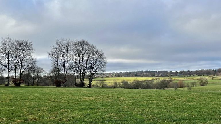 Météo en Belgique : grisaille tenace ce samedi matin, quelques éclaircies cet après-midi Météo en Belgique : grisaille tenace ce samedi matin, quelques éclaircies cet après-midi