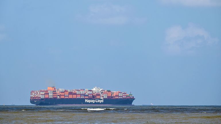 Près de 3000 vaches bloquées dans un cargo au large de la Turquie