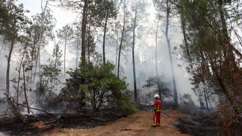 Des militaires belges et du matériel envoyés en France pour combattre les incendies