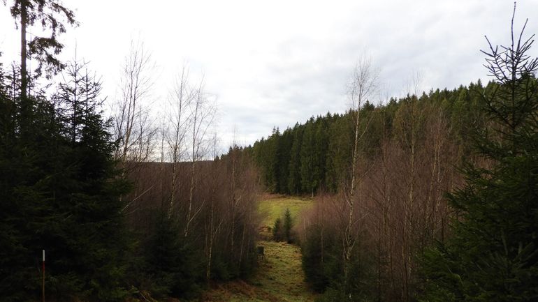 Météo en Belgique : rien que du gris avant le retour de quelques éclaircies