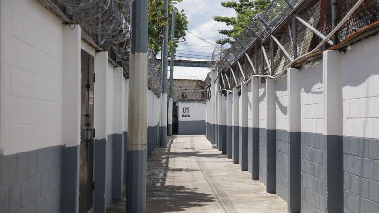 Salvador : des dizaines de membres du gang MS-13 condamnés à plusieurs siècles de prison