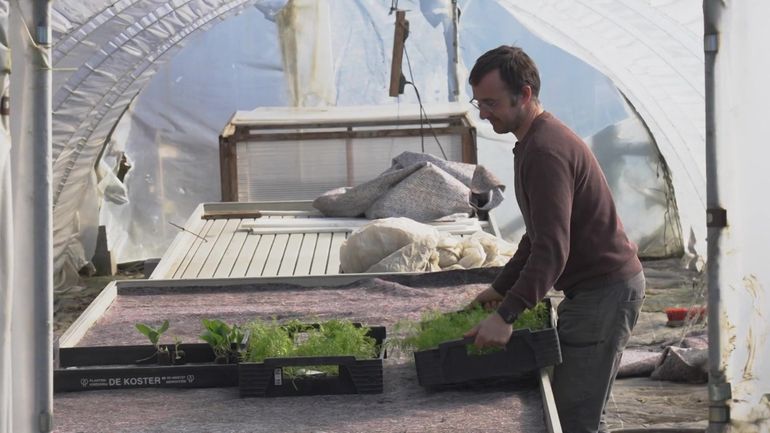 Arrivée du printemps : les maraîchers lancent leurs premières plantations