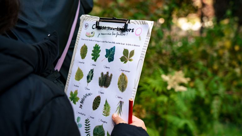 Découvrir et encourager la biodiversité : c'est Renature Time !