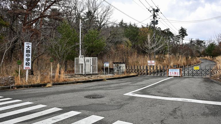 Quinze ans après Fukushima, le nucléaire est redevenu populaire dans l'archipel japonais