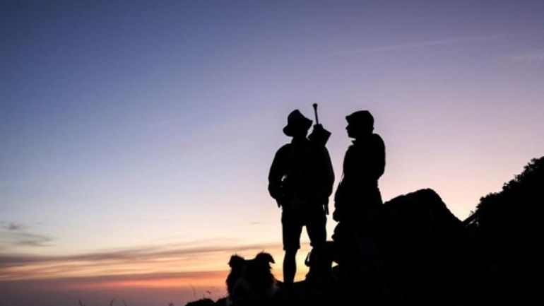 France - Espagne - Andorre : dans les Pyrénées, la population d'ours poursuit sa croissance mais s'appauvrit génétiquement