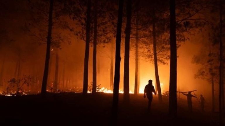 Le monde dépense 30 fois plus d'argent pour détruire la nature que pour la protéger, selon l'ONU