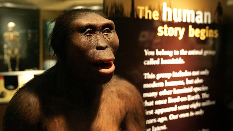 Des fossiles de pied et de mâchoire découverts en Éthiopie révèlent un contemporain de Lucy