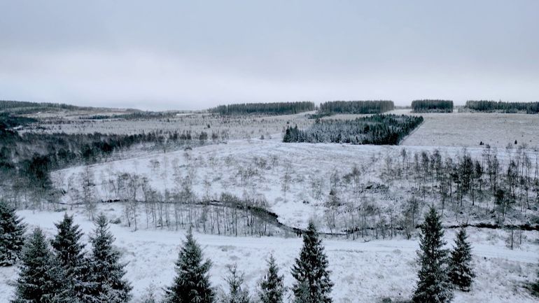 Un voyage dans nos contrées enneigées vous attend dans le Jardin Extraordinaire de ce dimanche Un voyage dans nos contrées enneigées vous attend dans le Jardin Extraordinaire de ce dimanche