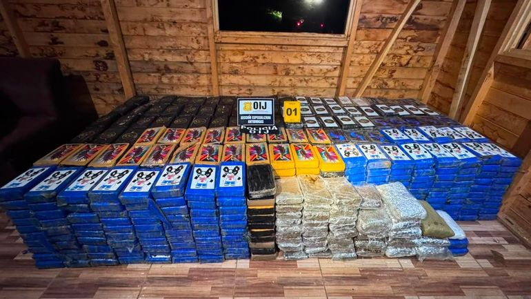 Des dizaines de réseaux criminels internationaux démantelés grâce à une opération dirigée par la police fédérale