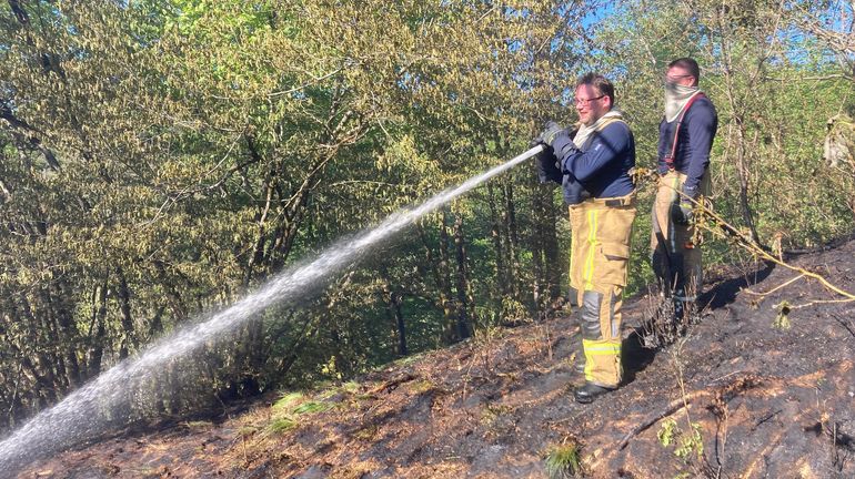 Deux feux d’espaces naturels en quelques heures du côté de Gedinne et de Beauraing