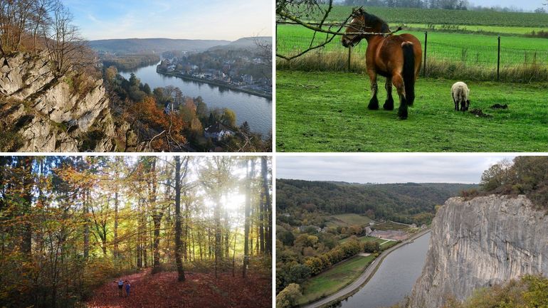 Les 13 marches Adeps du dimanche 1er novembre en Wallonie