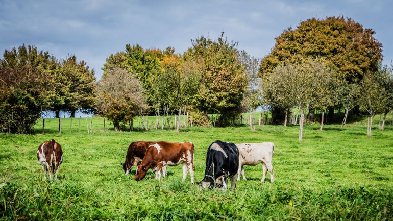 À quoi ressemblera l’agriculture de demain ? Réflexions sur un secteur en pleine mutation À quoi ressemblera l’agriculture de demain ? Réflexions sur un secteur en pleine mutation