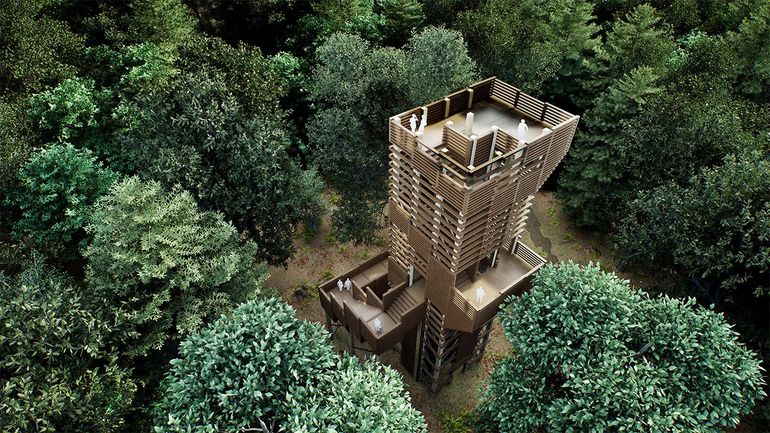 Cinq nouvelles tours d'observation en bois dans le Parc national de l’Entre-Sambre-et-Meuse Cinq nouvelles tours d'observation en bois dans le Parc national de l’Entre-Sambre-et-Meuse