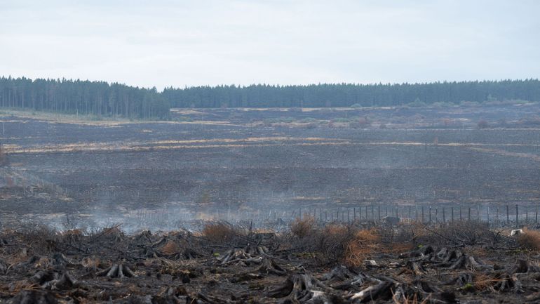 Incendie dans les Fagnes : quelques reprises de feu constatées sur le front est