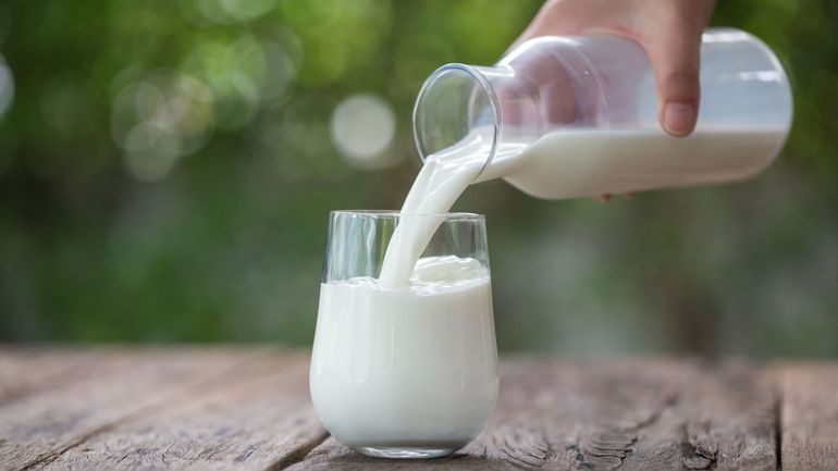 Faut-il arrêter de boire du lait de vache ? Entre Gaïa et la Fédération wallonne de l'agriculture, deux visions de l'élevage laitier