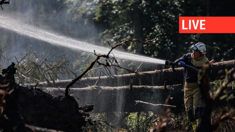 Direct - Incendie dans les Hautes Fagnes : les premières images du paysage calciné, un tétras-lyre sauvé