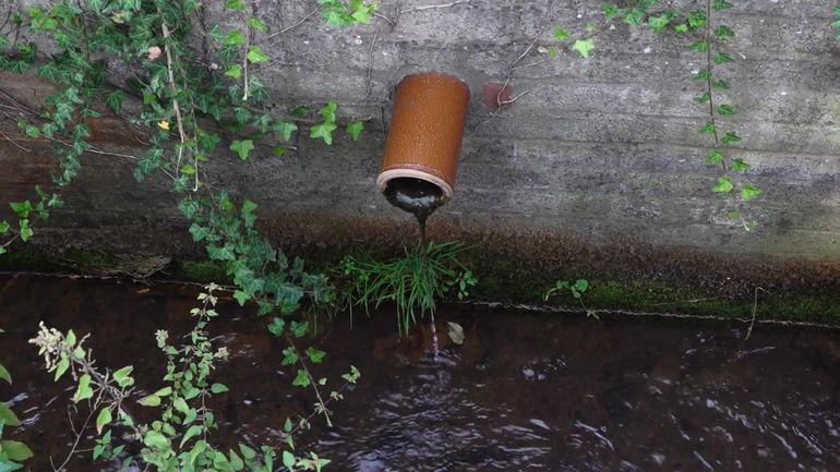 Les eaux usées de 33.000 habitants de Jupille et des alentours finissent dans la Meuse, sans aucun traitement