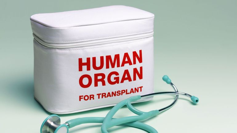 Des chercheurs développent un traitement qui protège mieux les organes transplantés