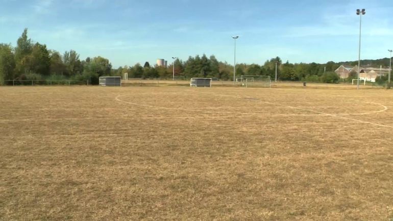 Chaleur et sécheresse : vigilance renforcée face au risque d’incendies en Wallonie