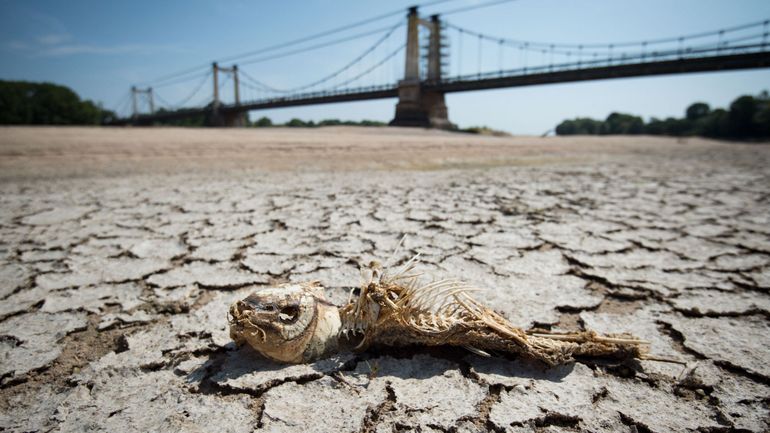 Un jour, une carte : vers une guerre de l’eau en Europe ? Un jour, une carte : vers une guerre de l’eau en Europe ?