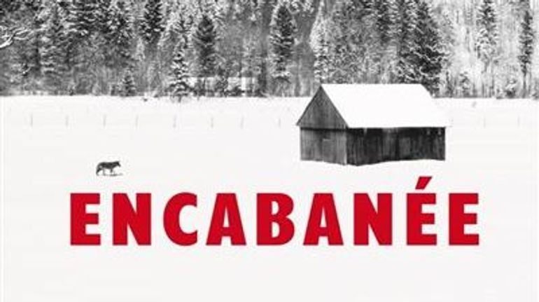 On vous conseille 3 livres de femmes entre thriller, enquête et écoféminisme