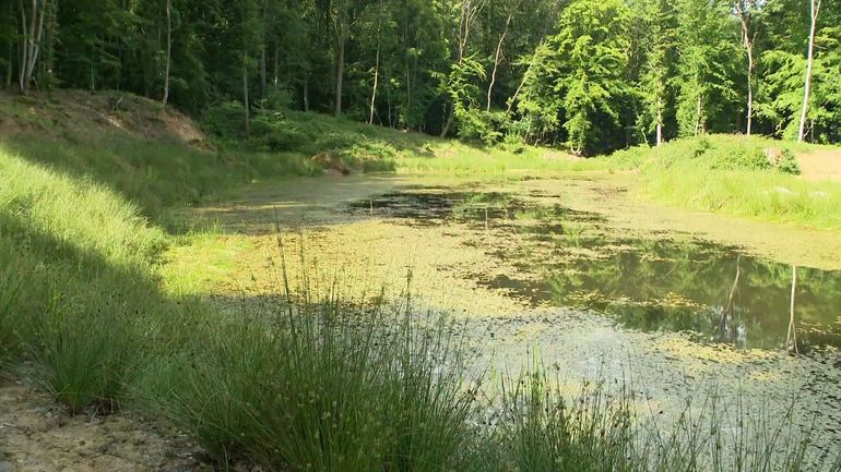 Fin des travaux de réhabilitation de l'ancienne décharge du Chêne à l'Image à Châtelet