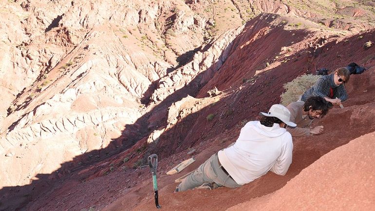 L'un des plus vieux dinosaures du monde découvert en Argentine