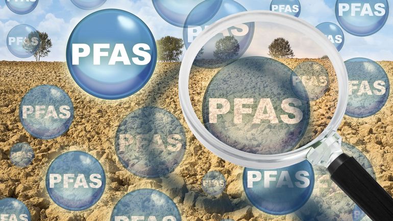 QR : Est-ce que l'Etat belge a le pouvoir de réduire ou de supprimer l'utilisation des pesticides PFAS dans les cultures du pays ?