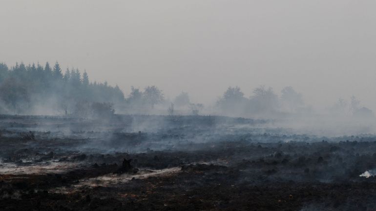 Incendie dans les Hautes Fagnes : qu'adviendra-t-il de la faune, de la flore et des milieux naturels touchés ?