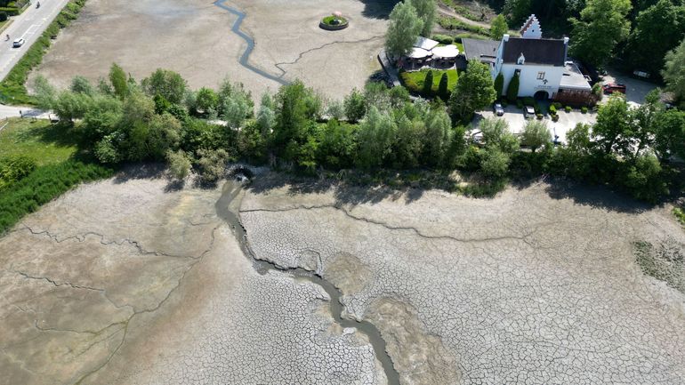 L'Europe s'est réchauffée plus vite que le reste du monde : faut-il désespérer des politiques environnementales ?