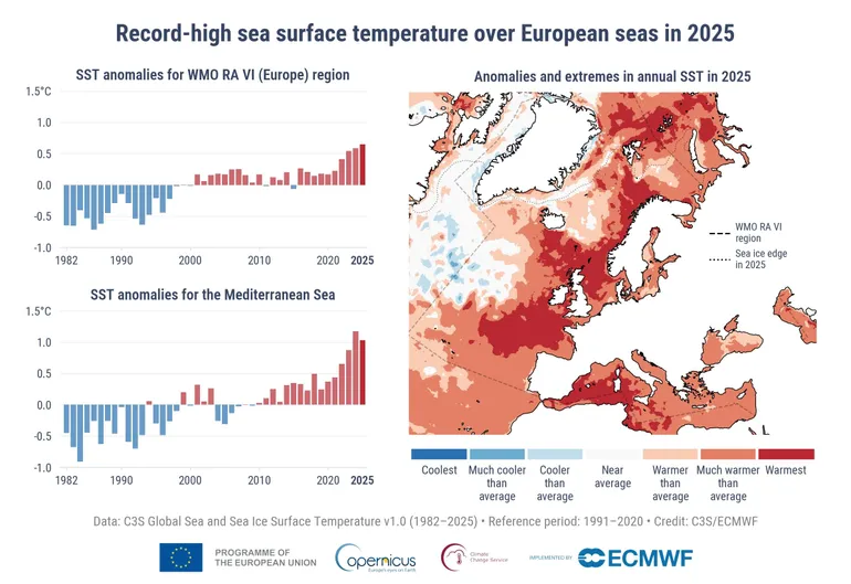 Average annual sea surface temperature anomalies for the period 1982-2025