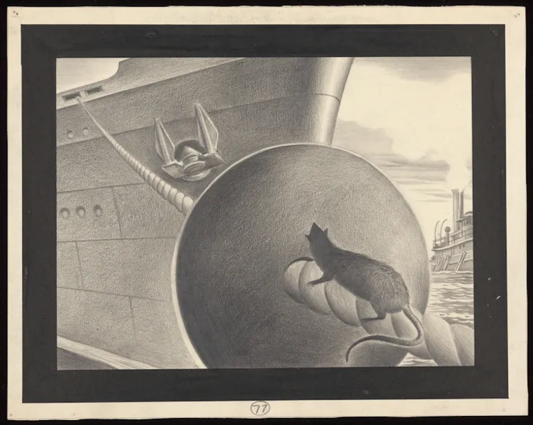Illustration d’un dispositif placé sur les amarres pour empêcher les rats de monter à bord des navires. Dessin de A. L. Tarter, années 1940.