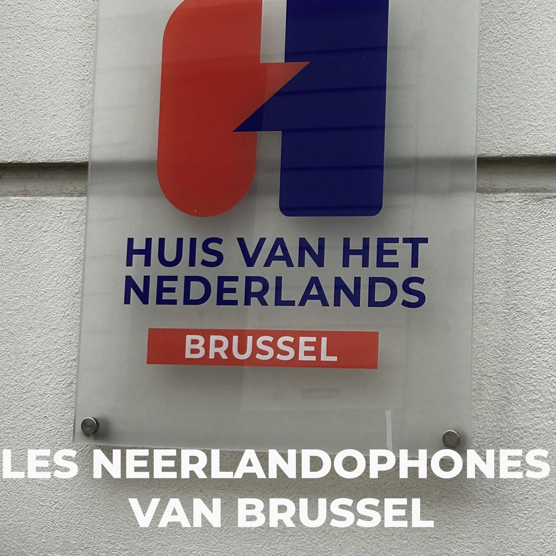 Episode 3 : L'enseignement et la langue, deux outils existentiels — Les 1000 Bruxelles cover