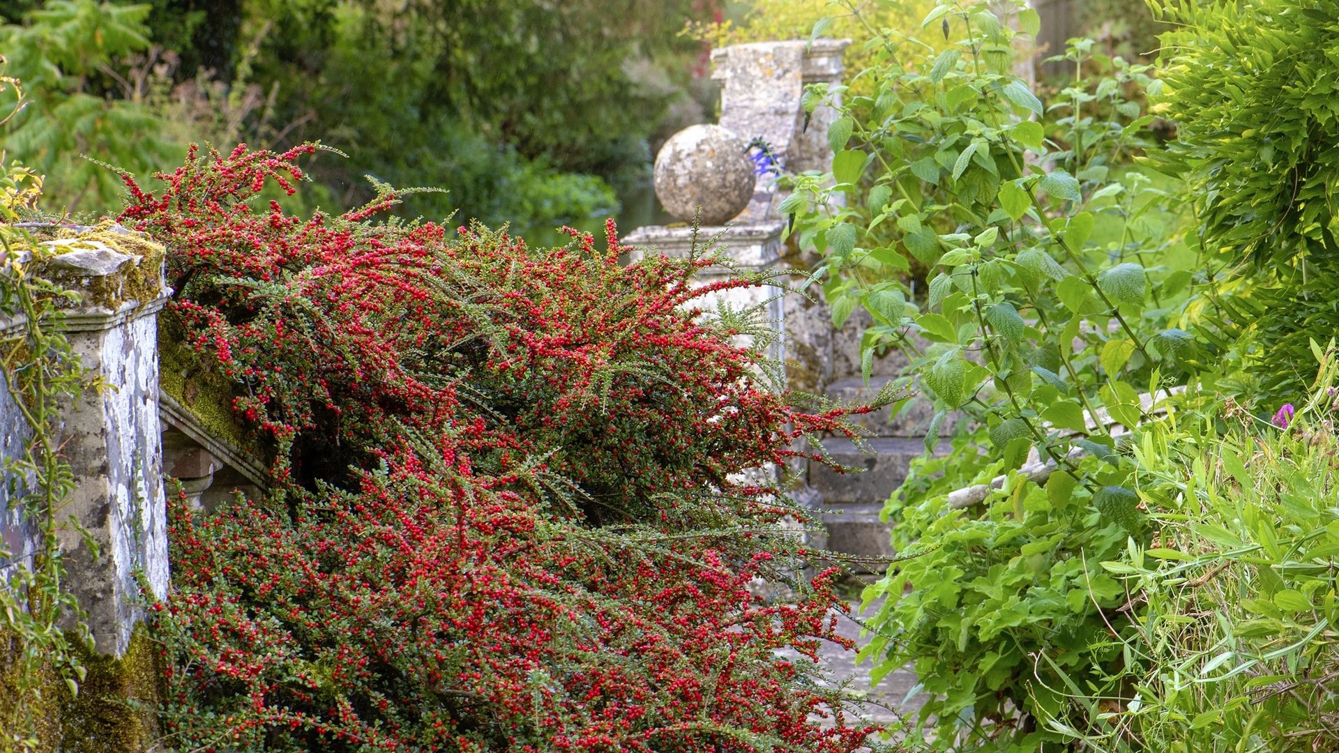 Paquet De 6 Arbustes En Faux Buis De Plantes Artificielles Faux
