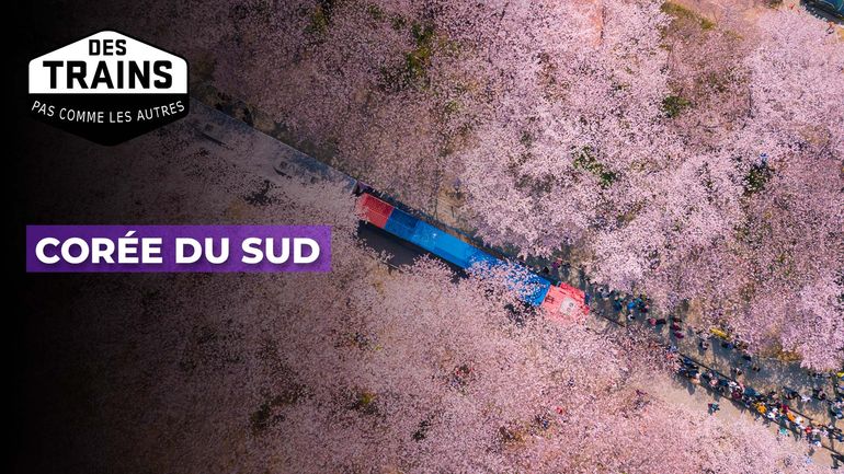 Des trains pas comme les autres