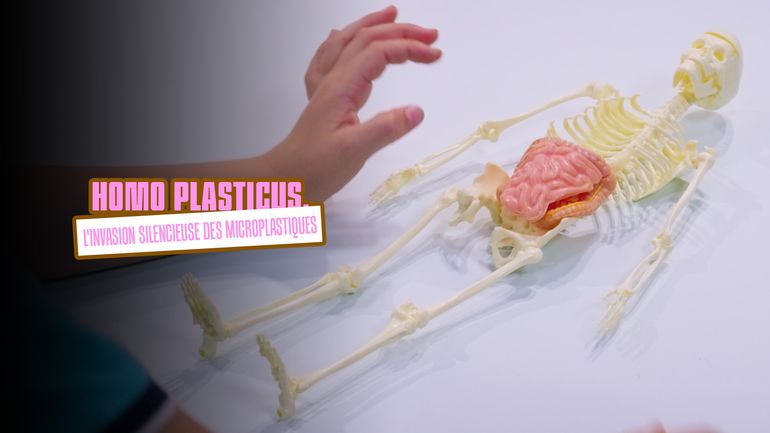 Homo plasticus, l'invasion silencieuse des microplastiques Homo plasticus, l'invasion silencieuse des microplastiques