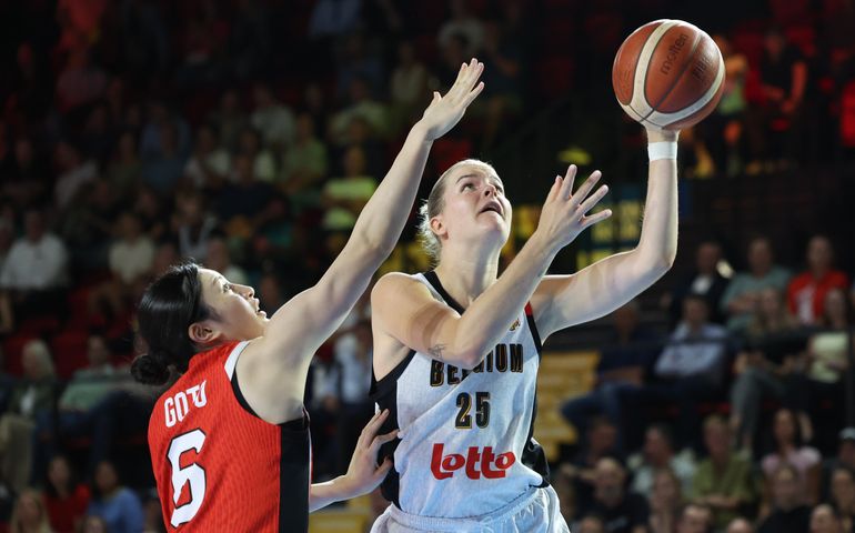 Basket - Belgian Cats