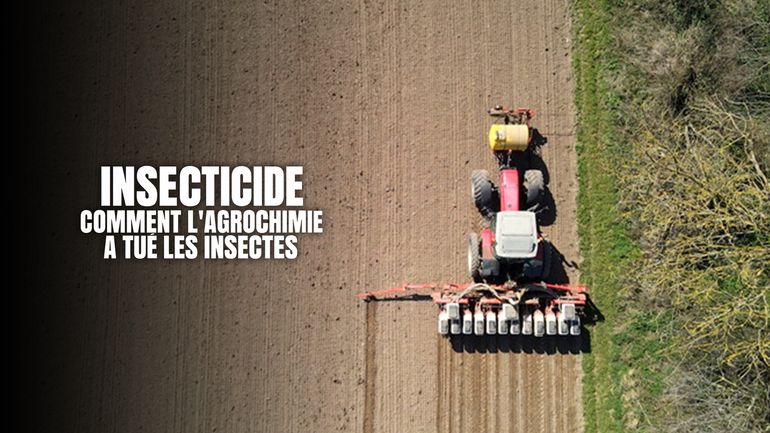 Replay Insecticide, comment l'agrochimie a tu� les insectes