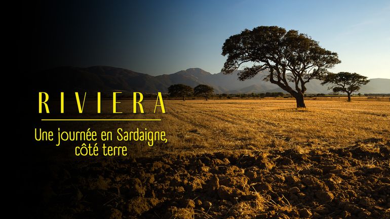 Replay Riviera
